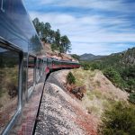 チワワ太平洋鉄道